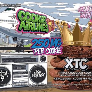 Graffiti graphic with a large triple chocolate cookie alongside a boombox and an airplane with a green graffiti tag that says 'Cookie Airlines'.