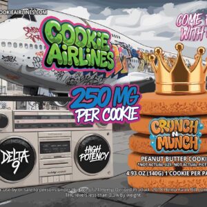 Graffiti graphic with a large peanut butter looking cookie alongside a boombox and an airplane with a green graffiti tag that says 'Cookie Airlines'.