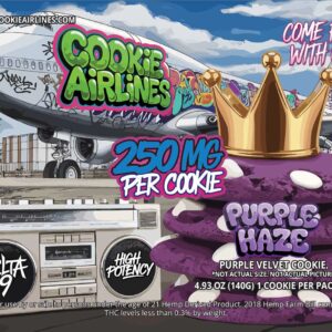 Graffiti graphic with a large purple cookie with white chocolate chips alongside a boombox and an airplane with a green graffiti tag that says 'Cookie Airlines'.